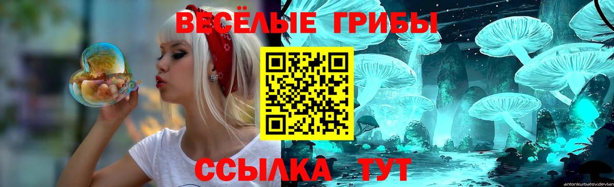Галлюциногенные грибы GOLDEN TEACHER  Псилоцибиновые грибы GOLDEN TEACHER  Вход с VPN  Котовск 